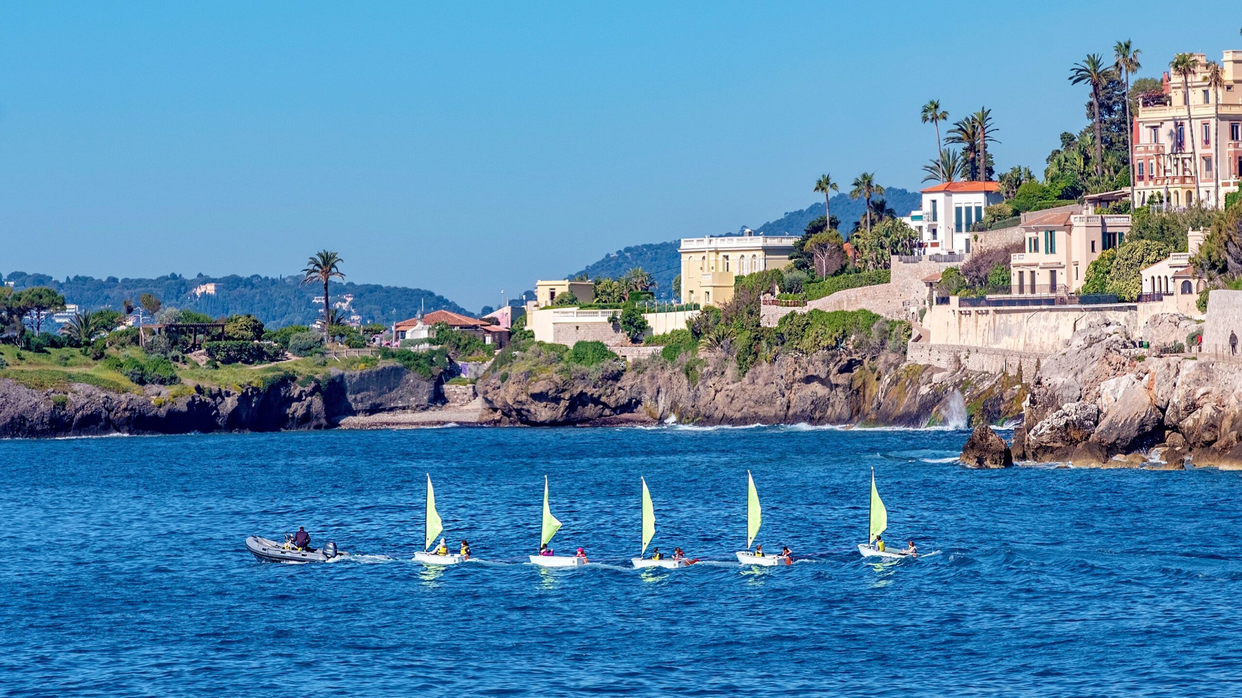 A fleet of sailboats gracefully navigating the open ocean under a clear blue sky.