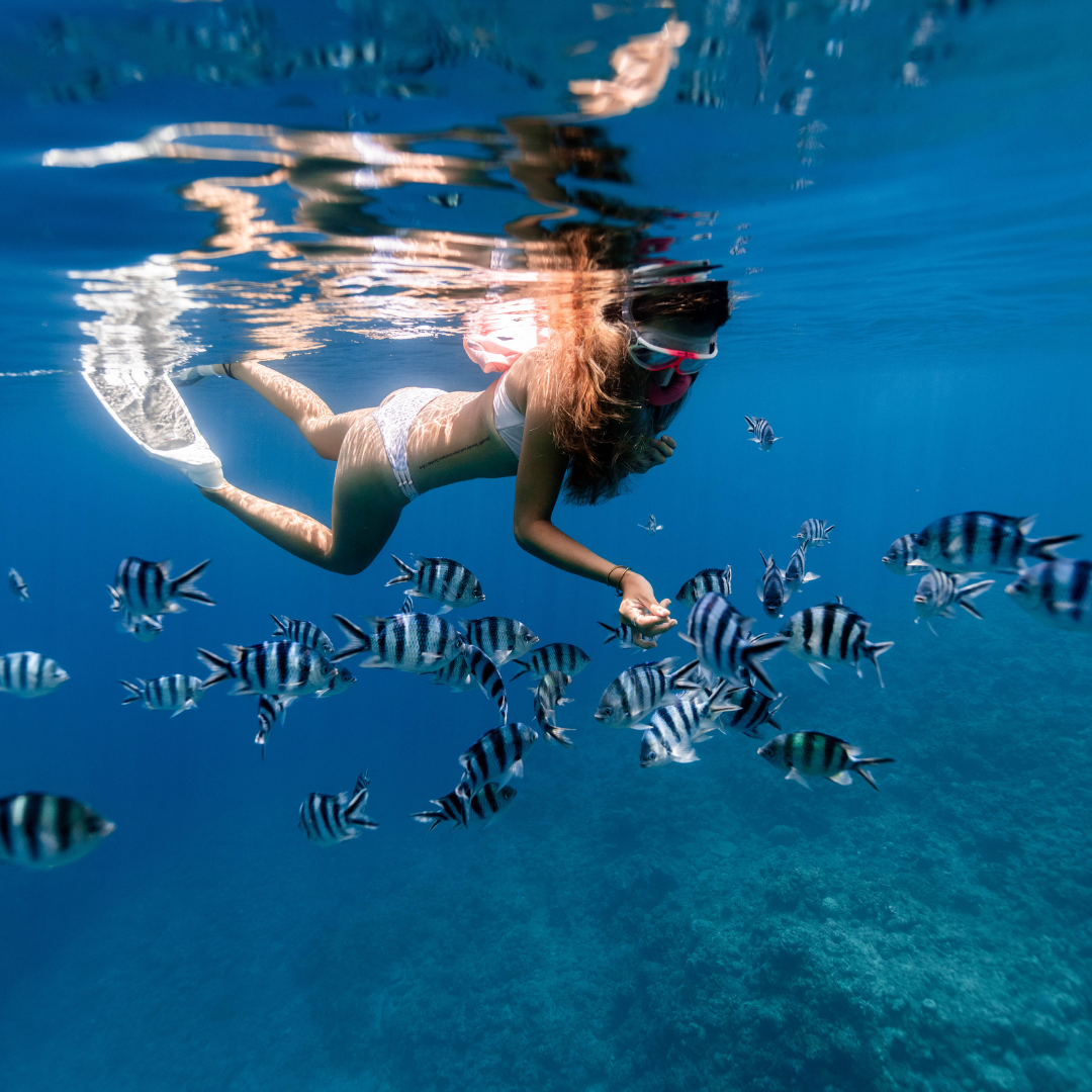 A woman gracefully swims among a vibrant school of fish in clear blue water, showcasing a harmonious underwater scene.