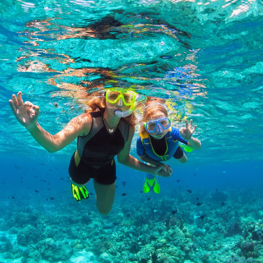 Two individuals wearing snorkeling gear explore the underwater world, surrounded by vibrant marine life.
