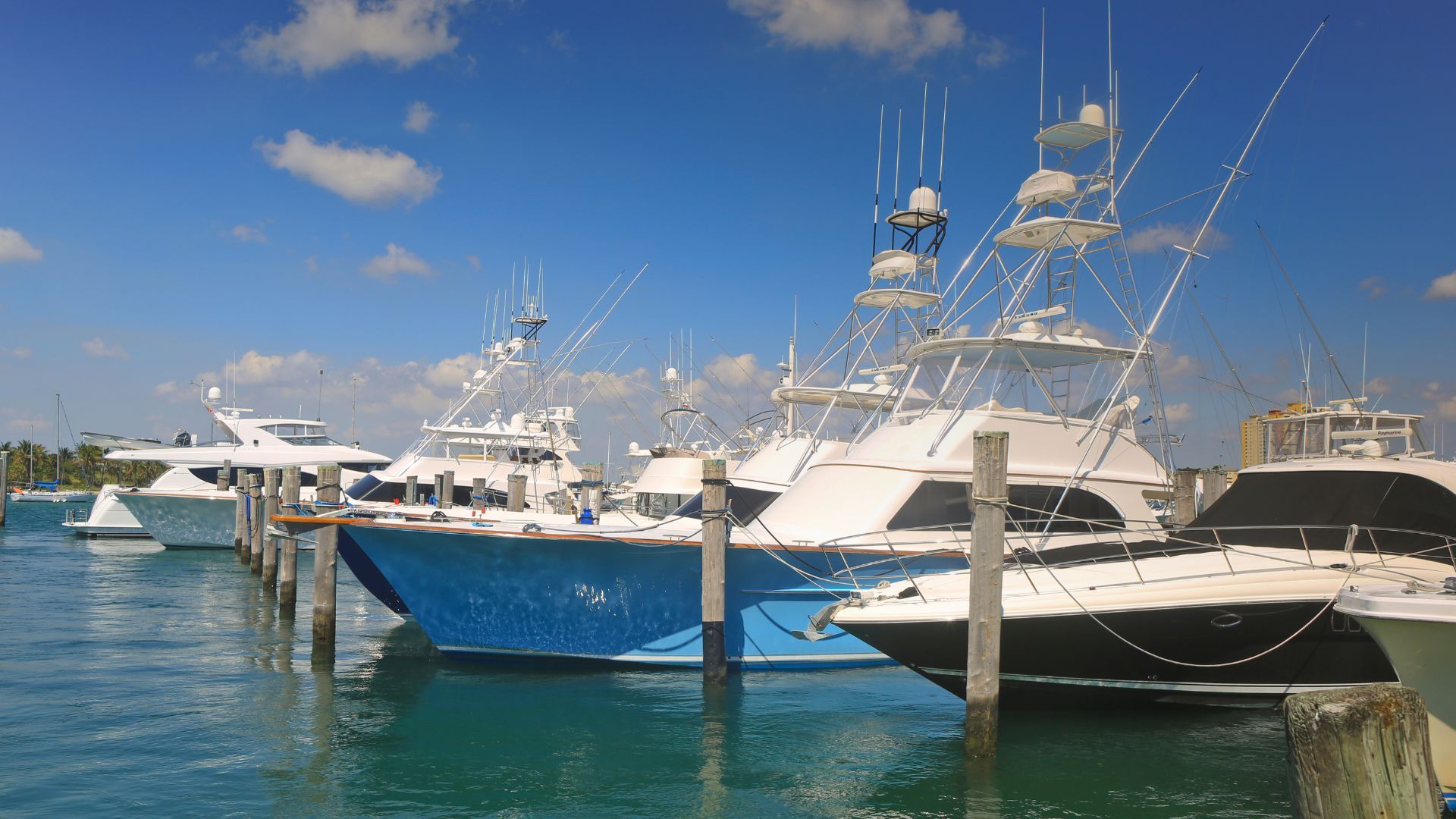 A collection of boats neatly docked at a marina, surrounded by calm waters and a clear blue sky.
