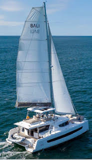 A catamaran gliding gracefully across the ocean, with waves gently lapping against its hull under a clear blue sky.
