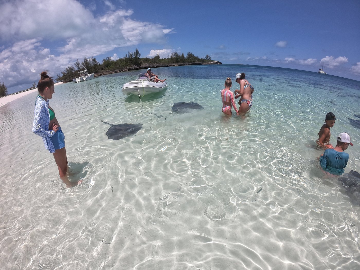 A group of people wading in shallow water beside a boat, interacting with sting rays swimming nearby.