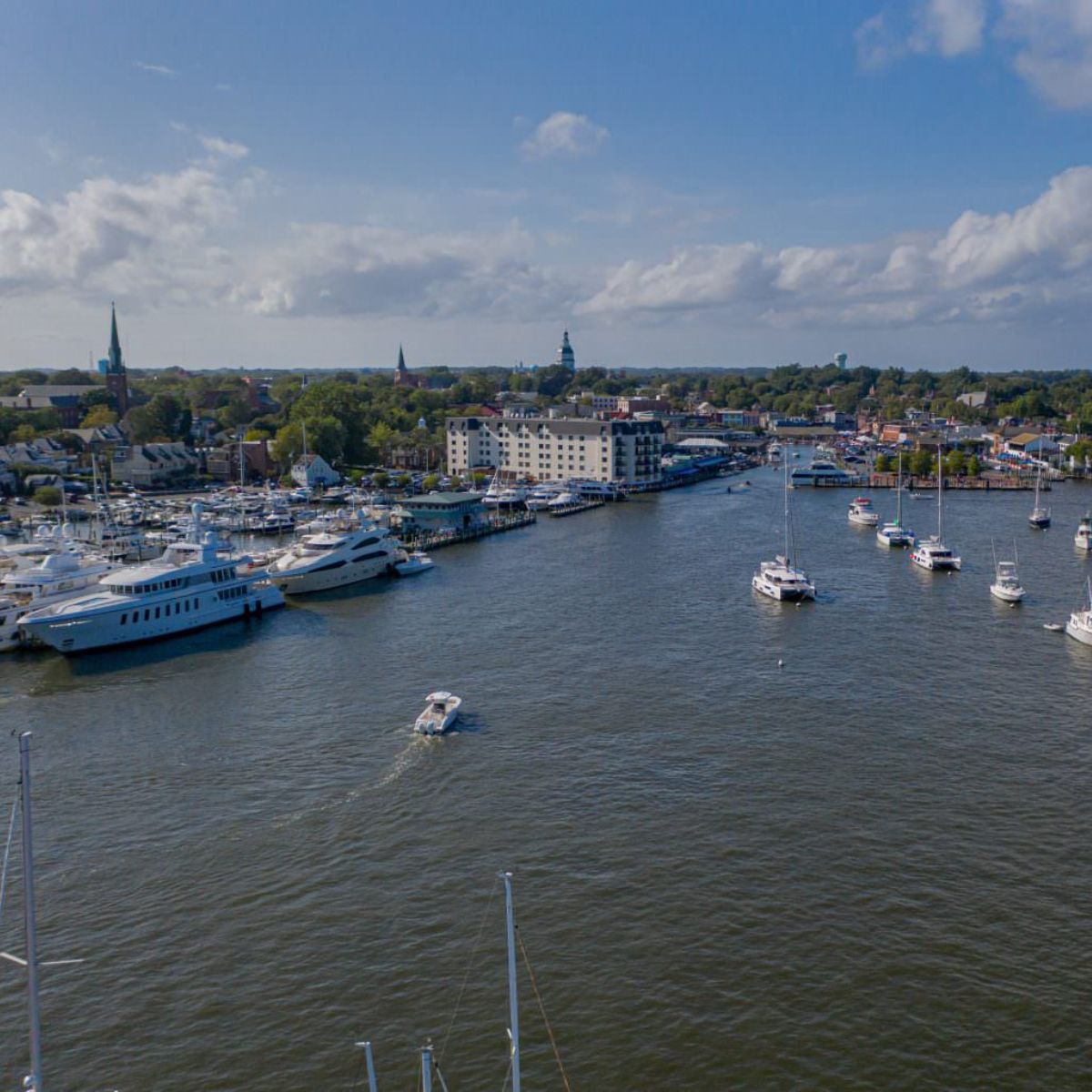A stingray glides gracefully through the clear, shallow waters of a serene beach.