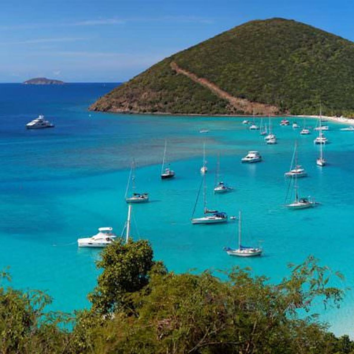 A stingray glides gracefully through the clear, shallow waters of a serene beach.