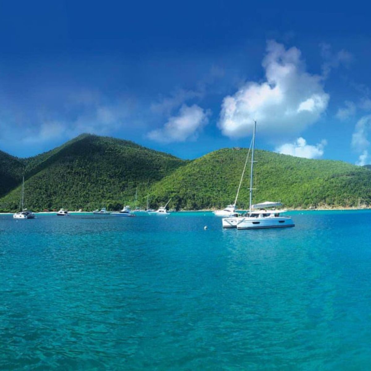 A stingray glides gracefully through the clear, shallow waters of a serene beach.