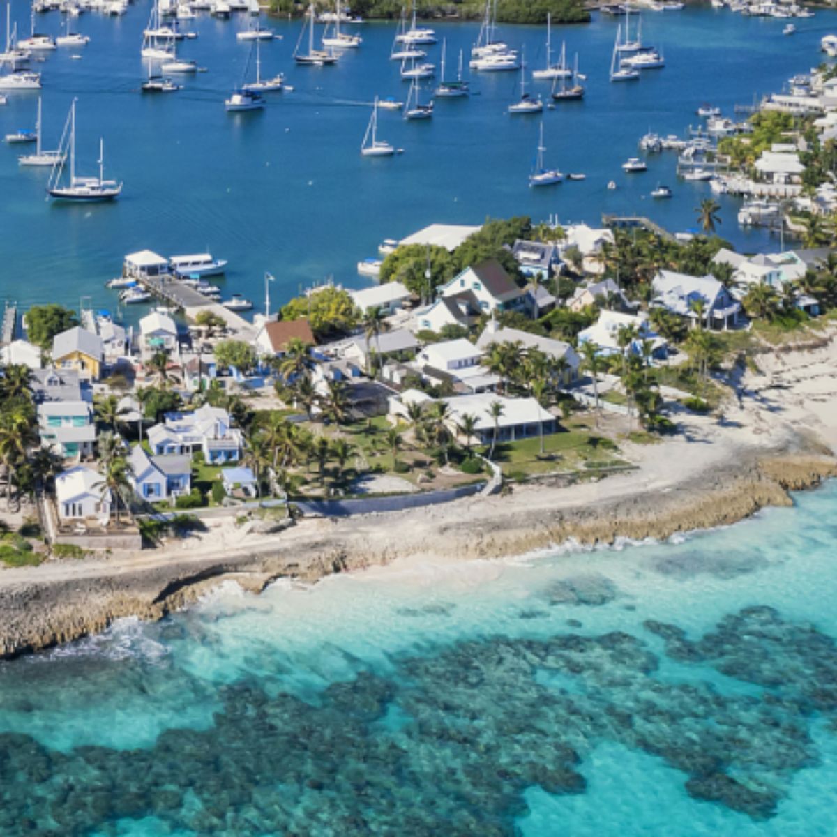 A stingray glides gracefully through the clear, shallow waters of a serene beach.