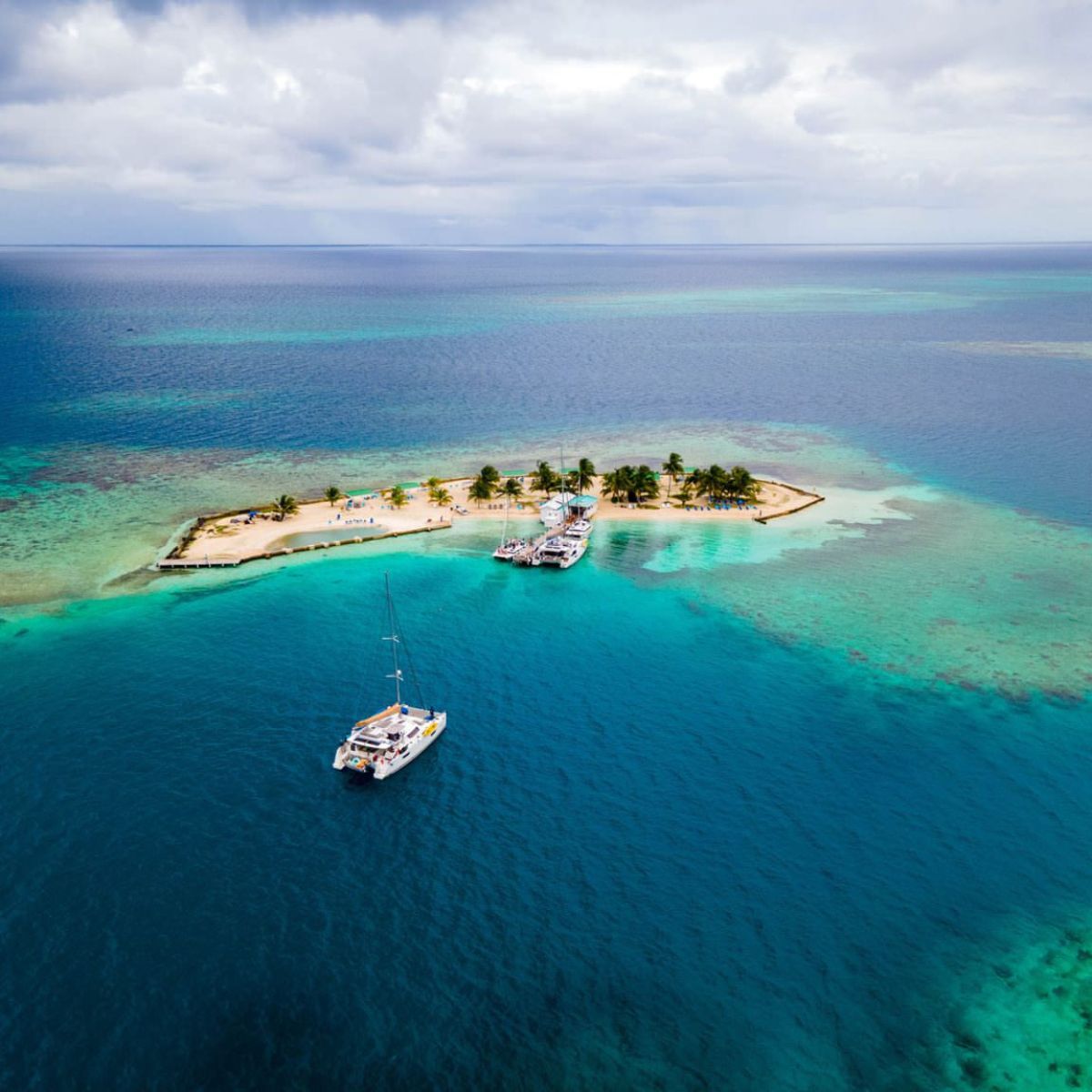 A stingray glides gracefully through the clear, shallow waters of a serene beach.